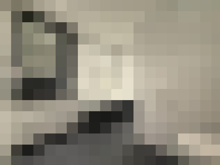  / #18