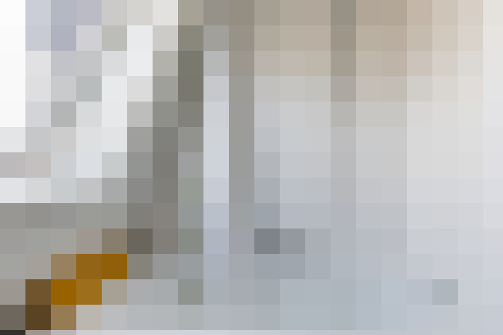  / #31