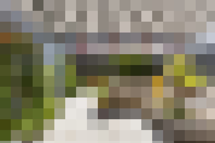  / #17