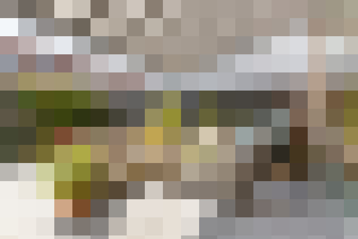  / #16