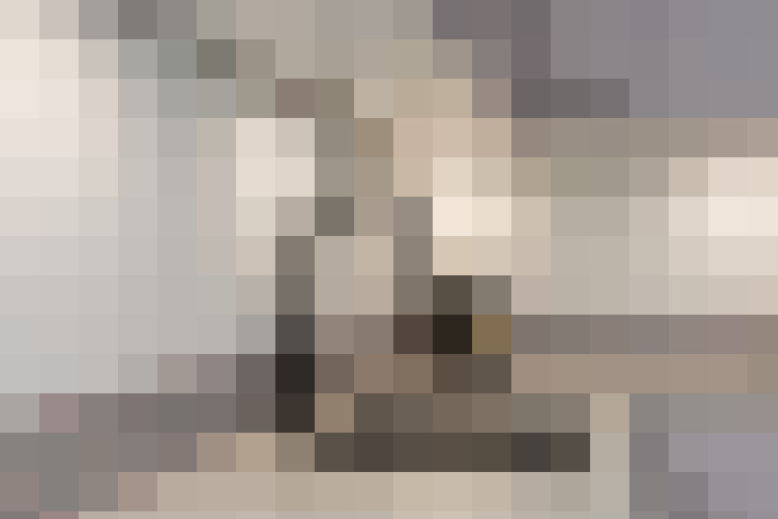 / #23