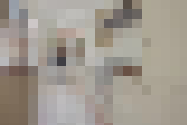  / #24