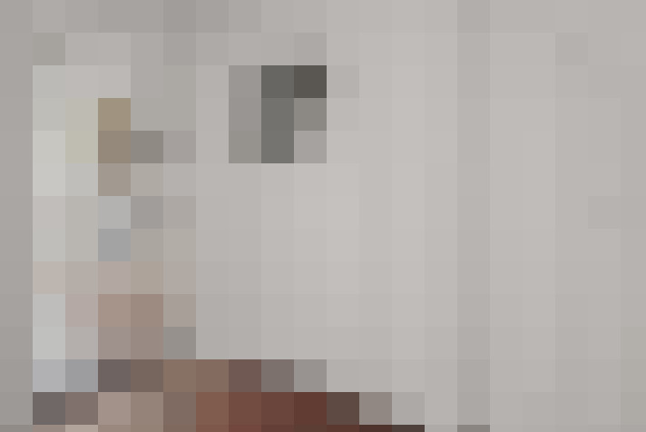  / #23