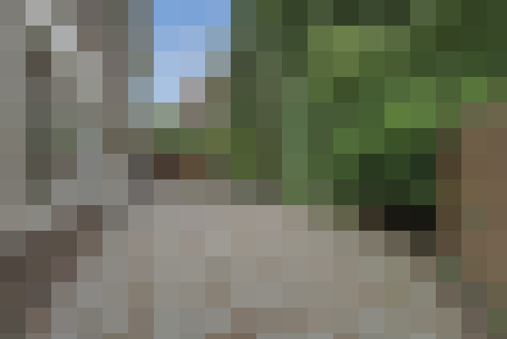  / #56