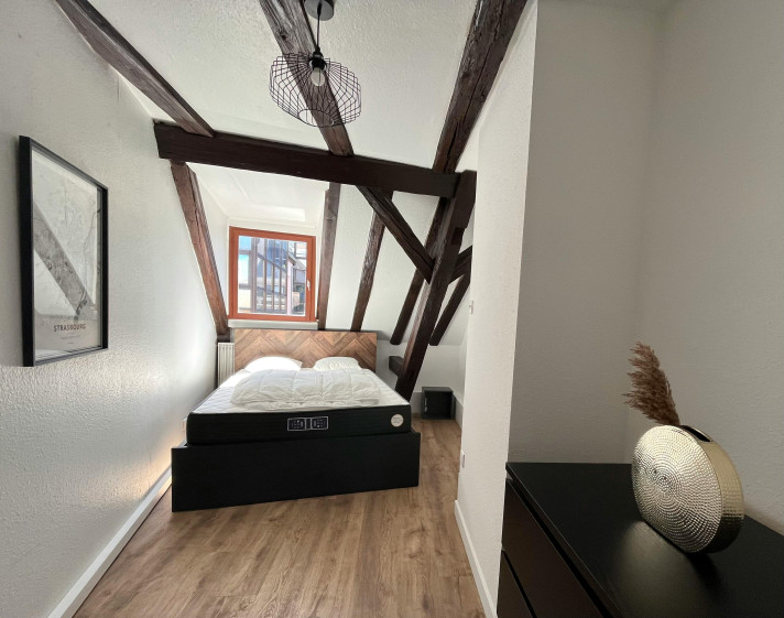 Voir la photo 1/10 du type apartment à Strasbourg