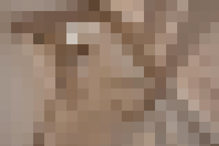  / #15