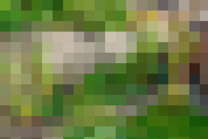 / #31