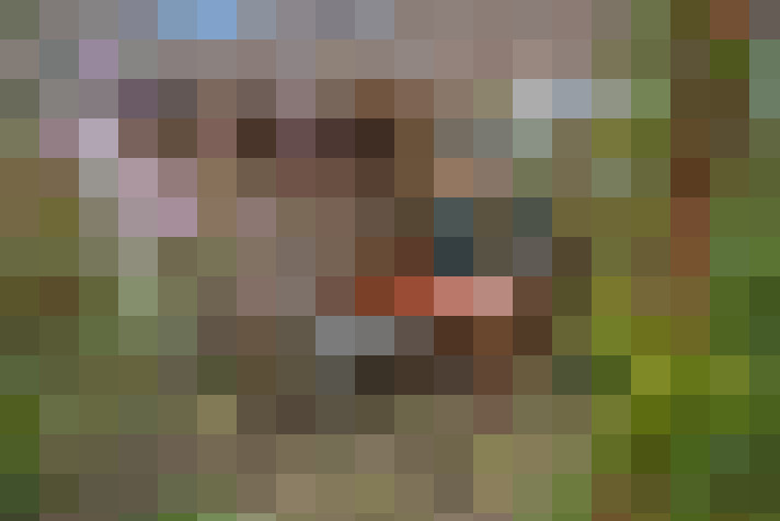  / #29