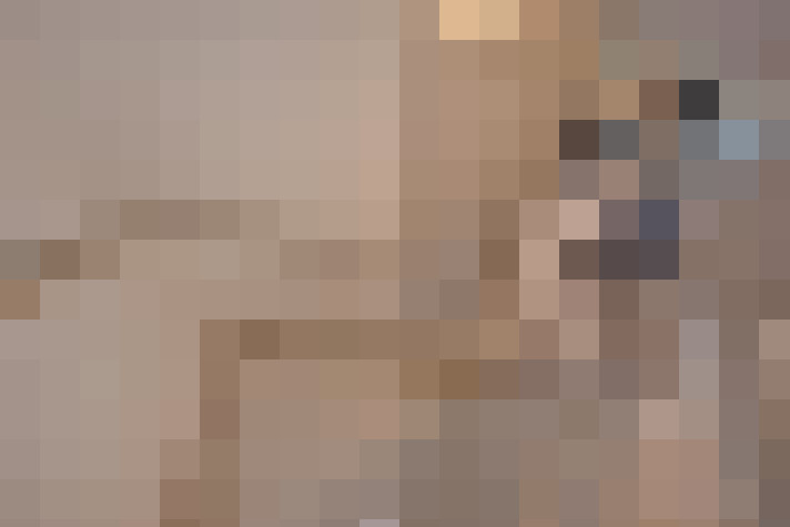  / #25
