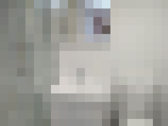  / #8