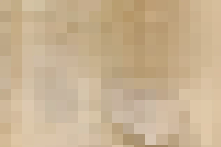  / #20