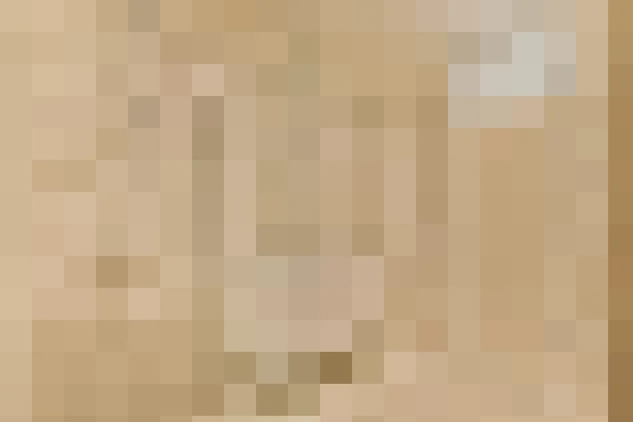  / #19