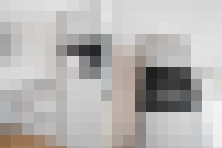  / #13
