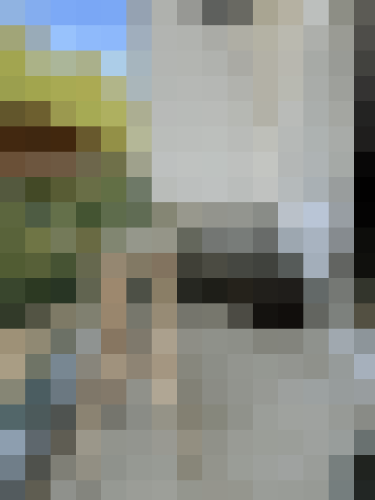  / #15