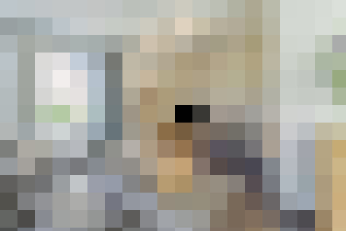  / #16