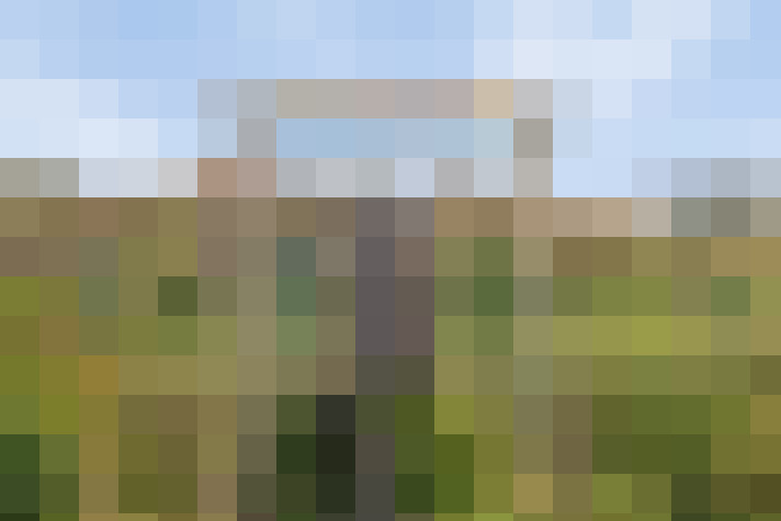  / #16