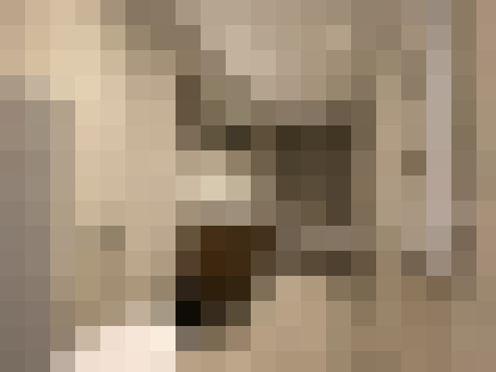 / #11