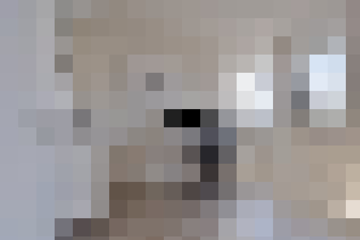  / #20