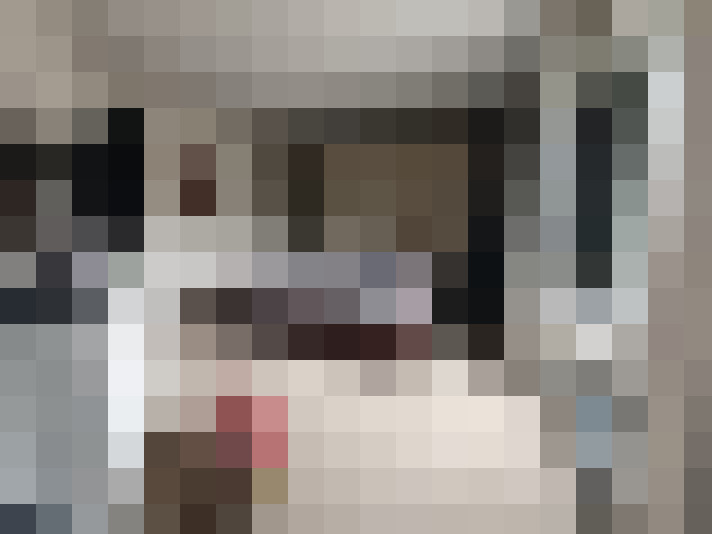  / #15