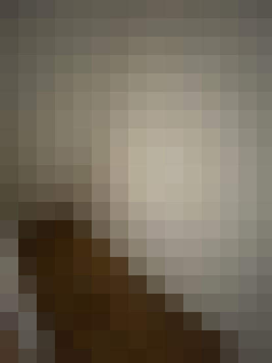  / #22