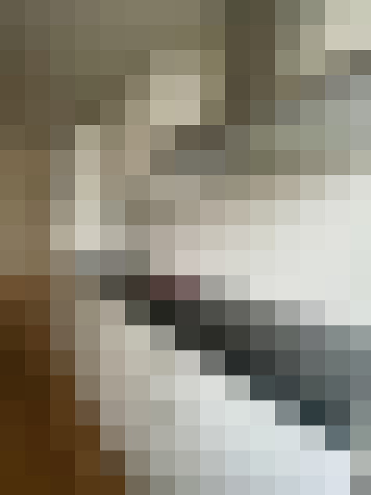  / #13