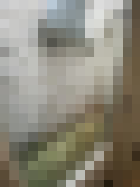  / #20
