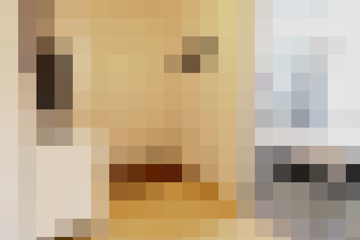  / #14