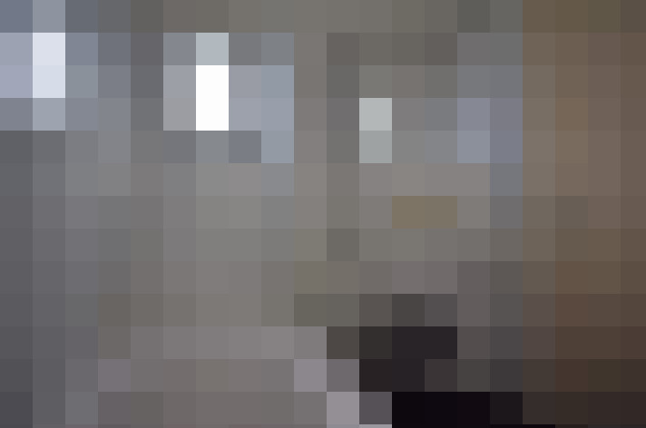  / #8