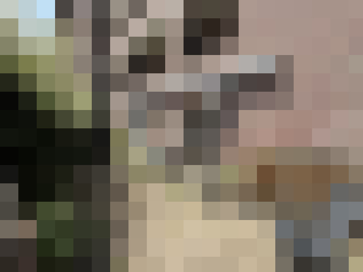  / #51