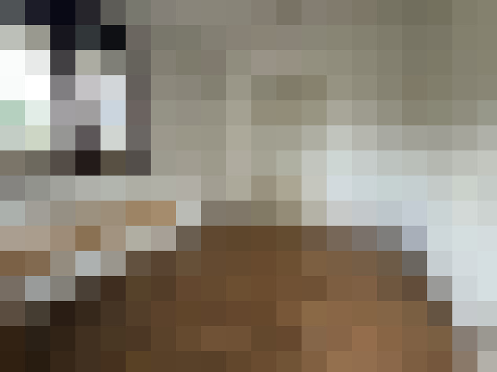  / #26