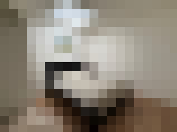  / #8