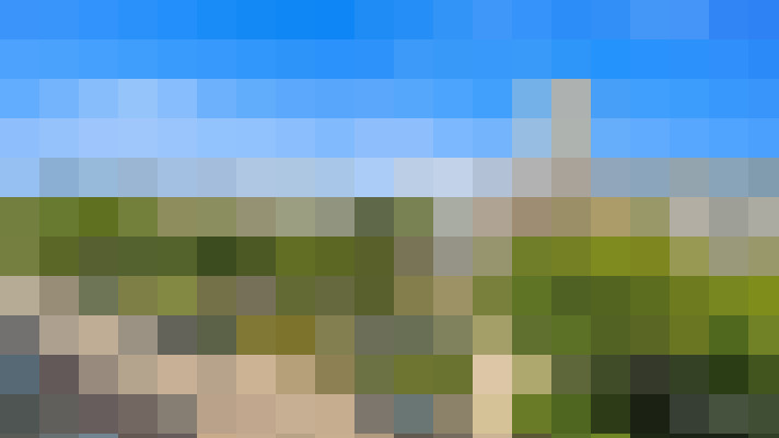  / #67