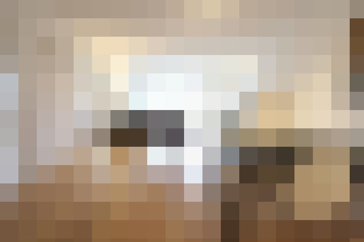  / #8