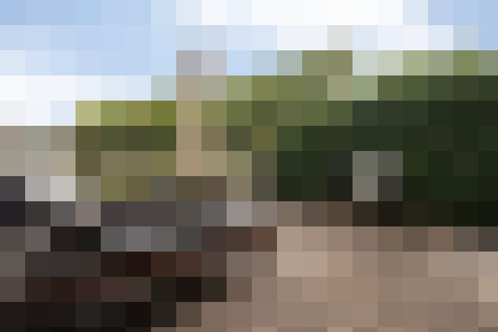  / #57