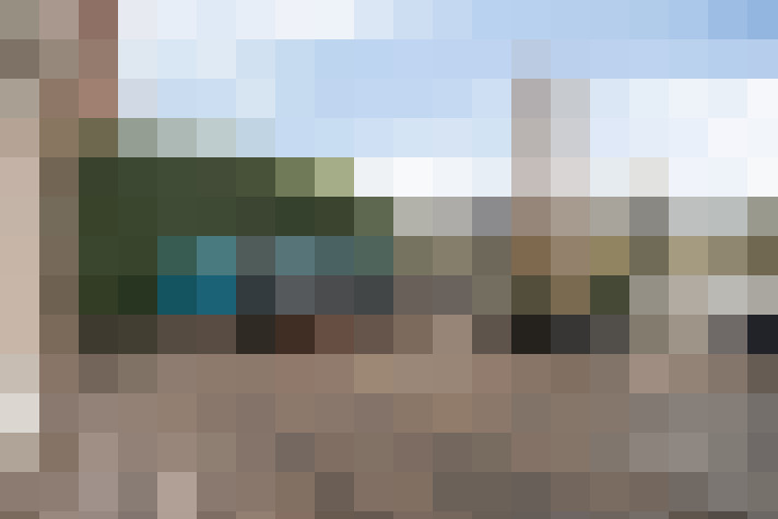 / #61