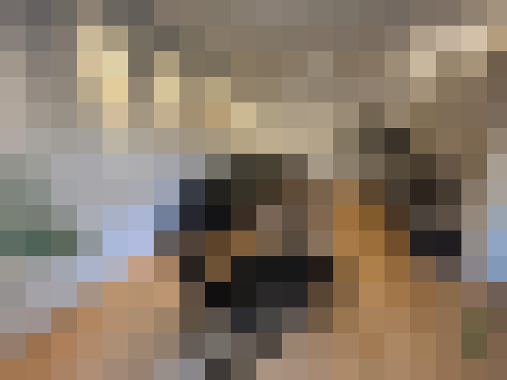  / #14