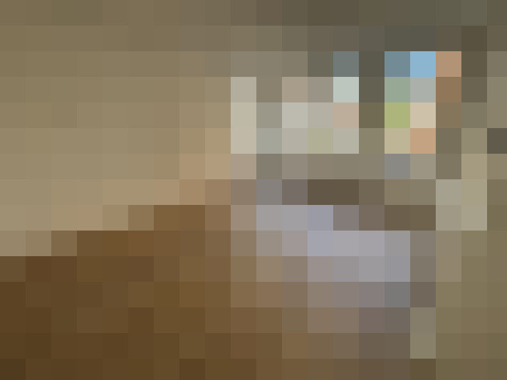  / #15
