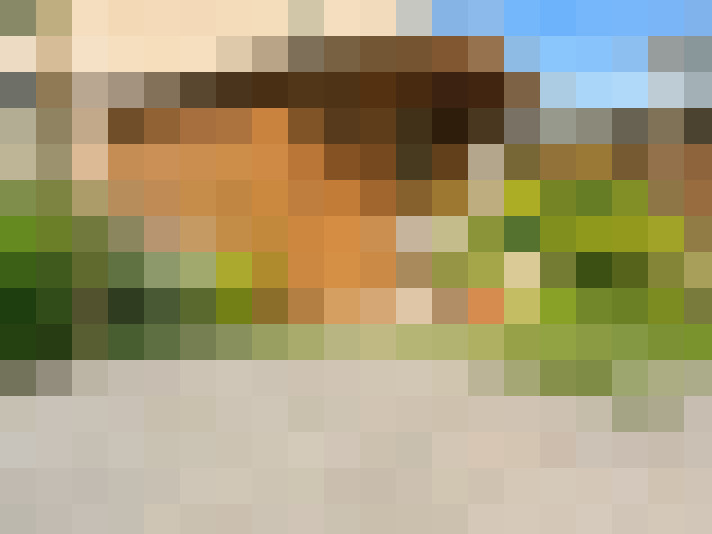  / #13