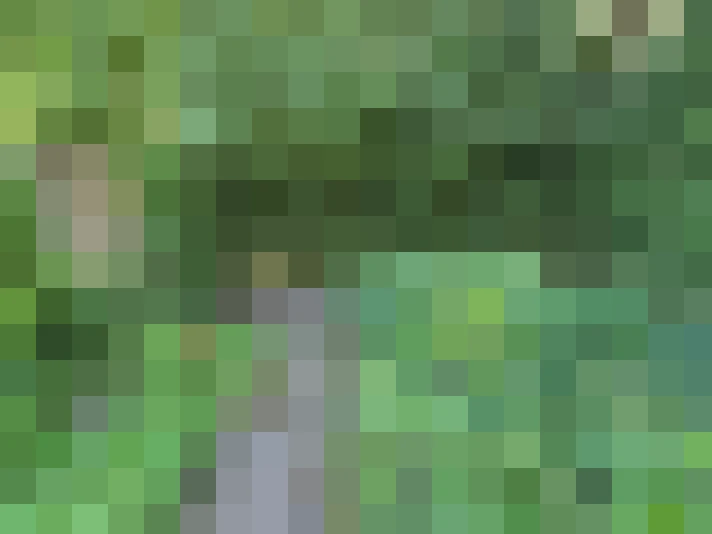  / #19