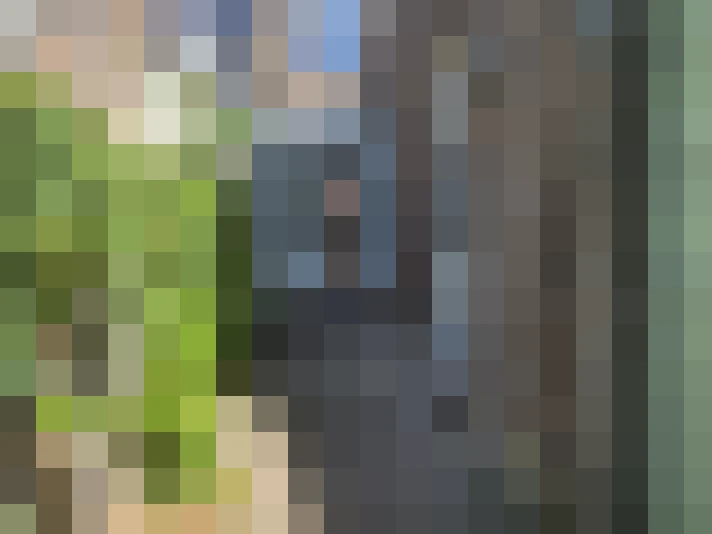  / #18