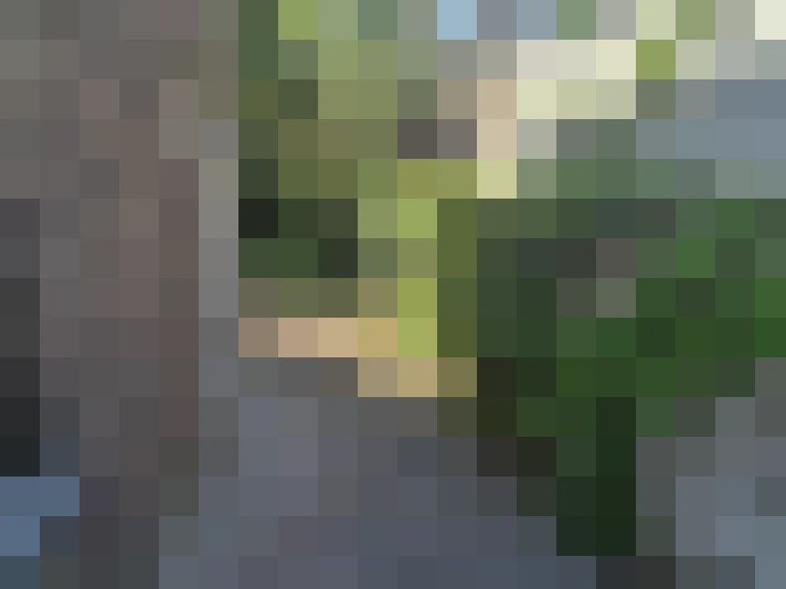  / #16
