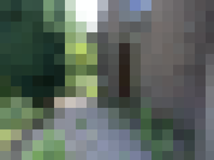 / #14