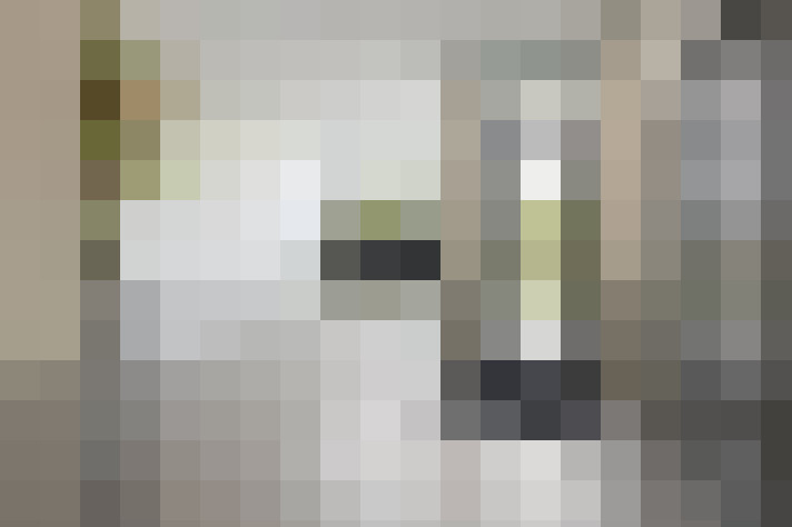  / #17