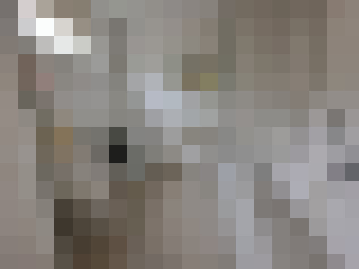  / #18