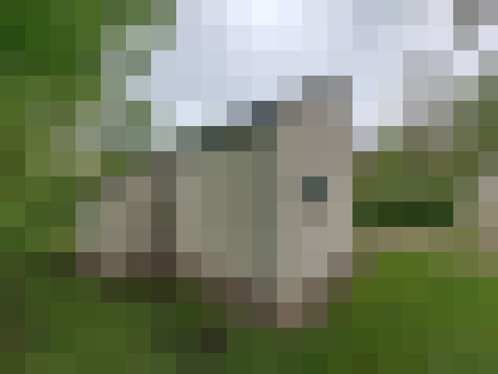  / #24
