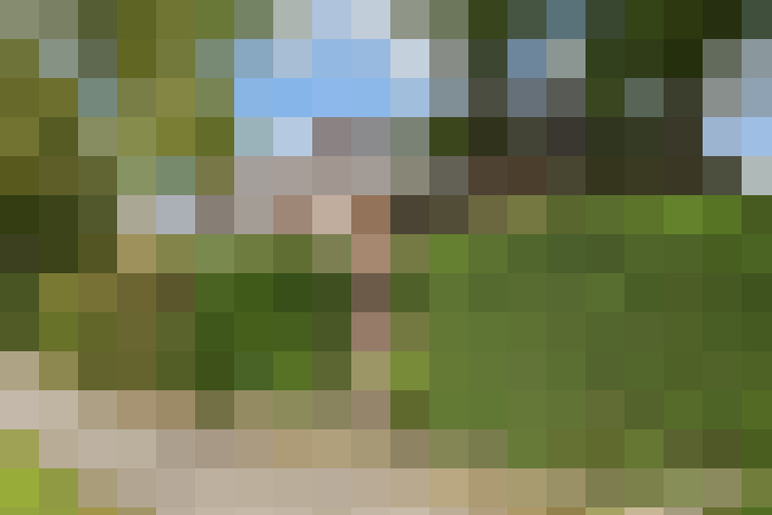  / #13