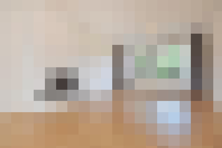  / #16