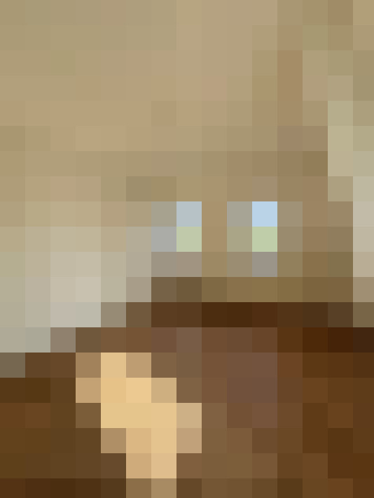  / #6