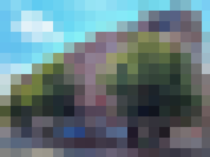  / #20