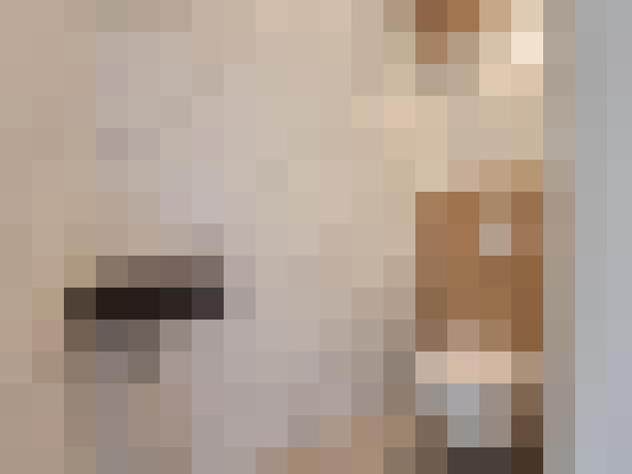  / #19